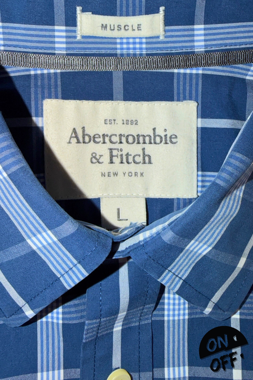 Abercrombie&Fitch Camisa L