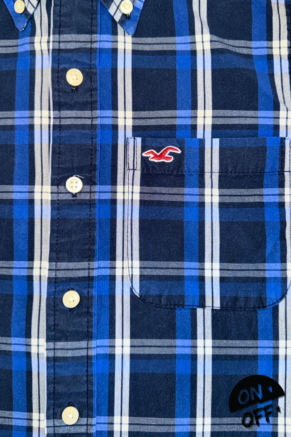 Hollister Camisa L