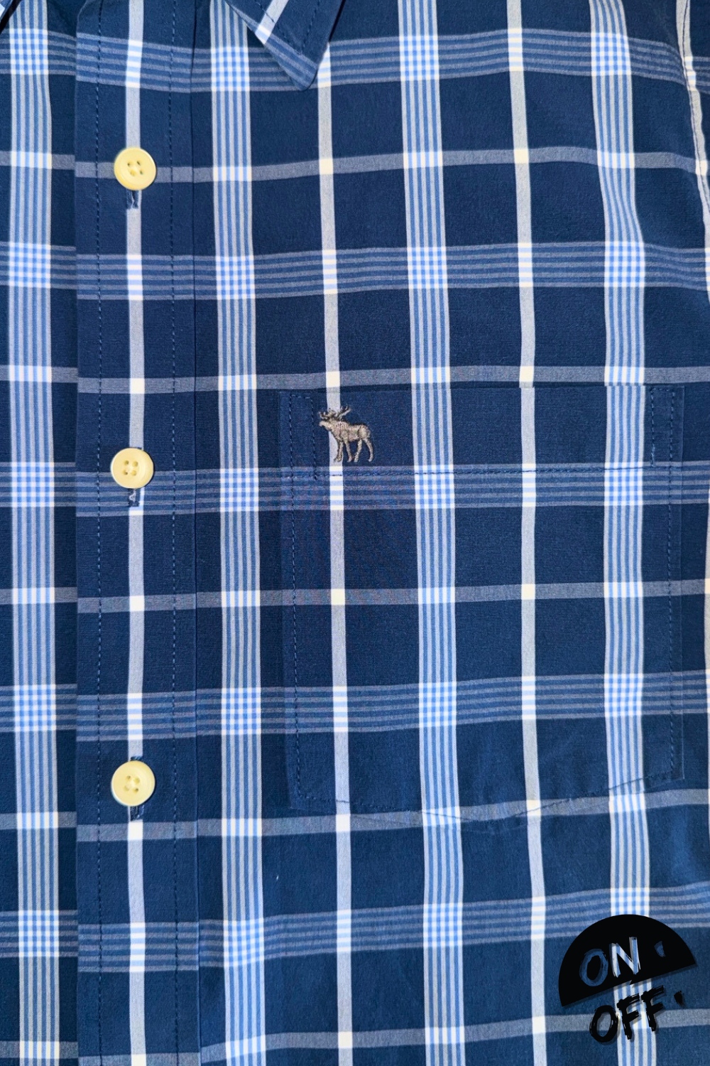 Abercrombie&Fitch Camisa L