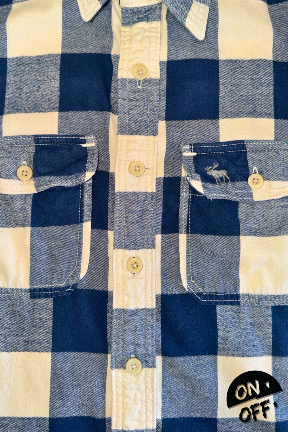 Abercrombie&Fitch Camisa L